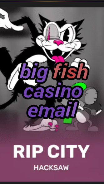 big fish casino email-3xn3u5udepyz9m9w5iat.com