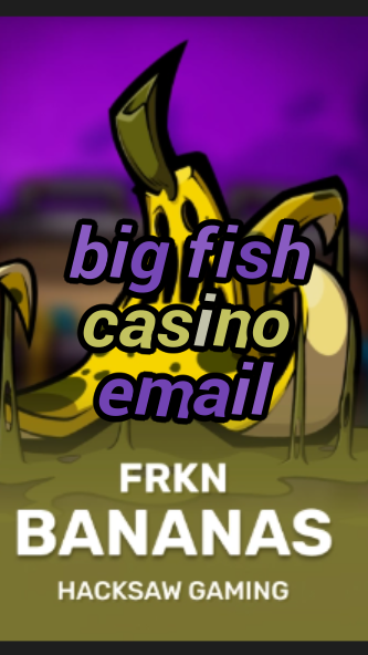big fish casino email-3xn3u5udepyz9m9w5iat.com